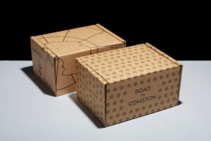 Ecommerce Shipping Box
